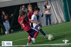 DSCF1169