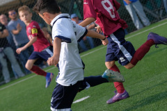 DSCF1193