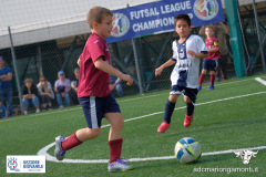DSCF1384