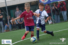 DSCF1400